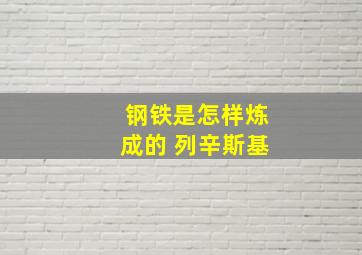 钢铁是怎样炼成的 列辛斯基